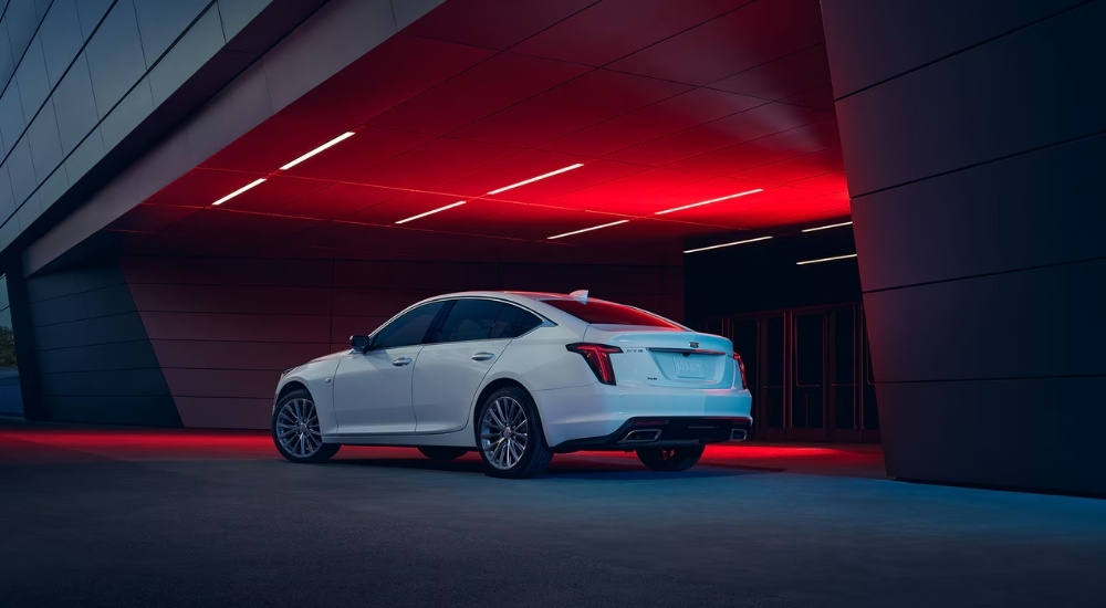 A white 2023 Cadillac CT5 is shown in front of a modern building.