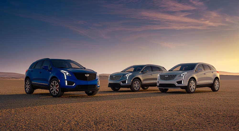 A parked trio of 2025 Cadillac XT5 for sale in Mankato.