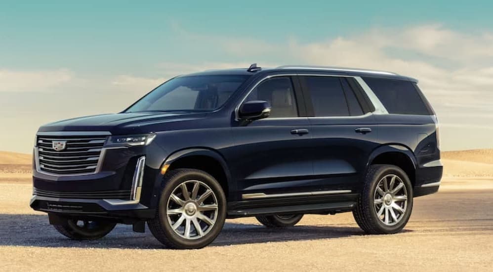 A blue 2023 Cadillac Escalade parked after viewing used cars for sale.