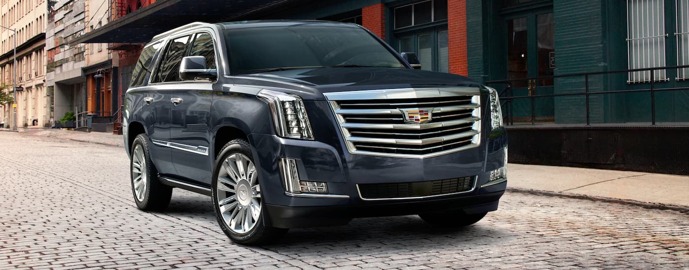 Blue 2020 Cadillac Escalade parked at an angle