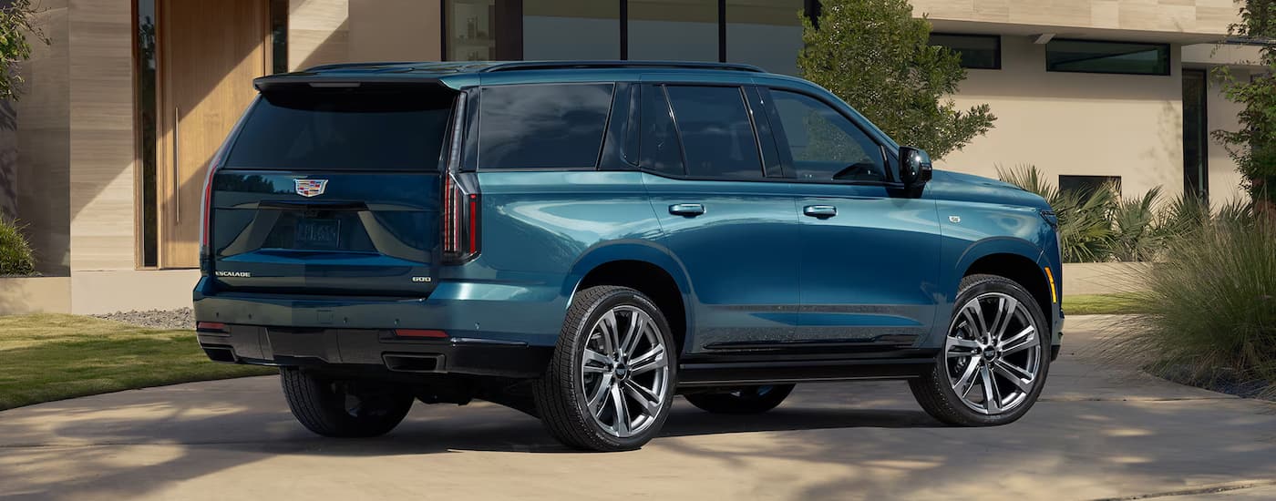 Rear view of a blue 2025 Cadillac Escalade parked in a driveway.